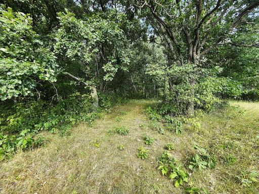 Established Trails