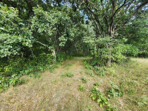 Established Trail