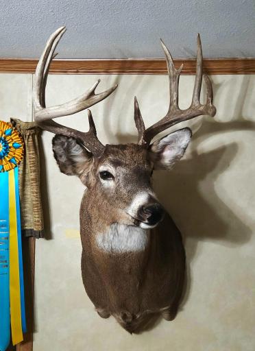 Wall Mount from this property