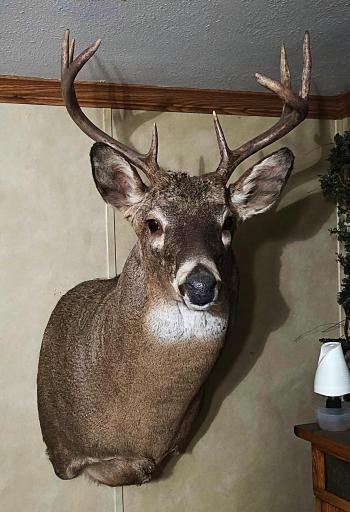 Wall Mount from tghis property