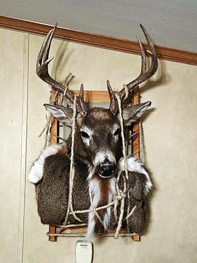 Packboard Mount" from this property