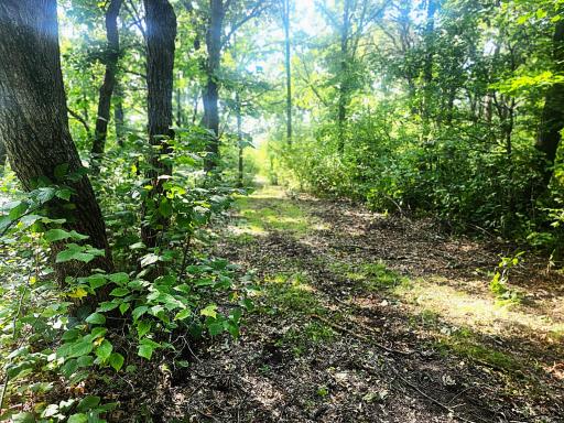 TBD 400th Street, Browerville, MN 56438