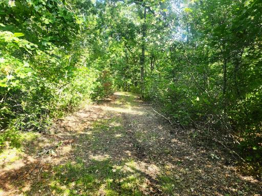 TBD 400th Street, Browerville, MN 56438