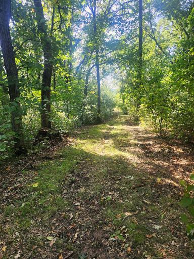 TBD 400th Street, Browerville, MN 56438