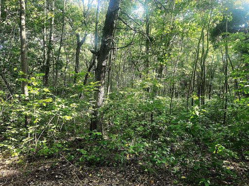 TBD 400th Street, Browerville, MN 56438