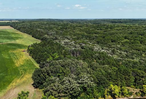 TBD 400th Street, Browerville, MN 56438