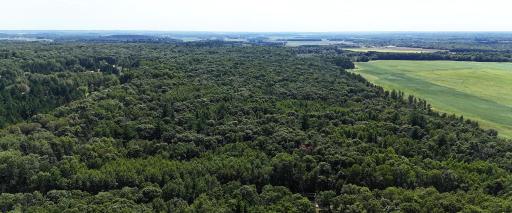 TBD 400th Street, Browerville, MN 56438