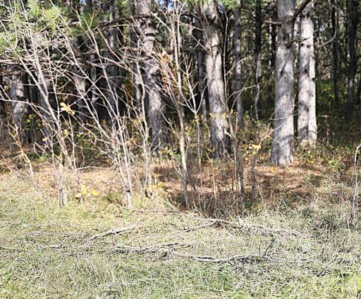 TBD 400th Street, Browerville, MN 56438