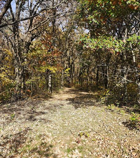 TBD 400th Street, Browerville, MN 56438