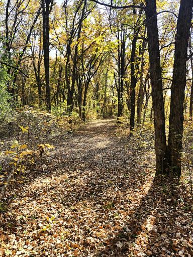 TBD 400th Street, Browerville, MN 56438