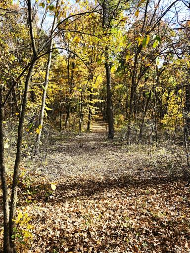 TBD 400th Street, Browerville, MN 56438