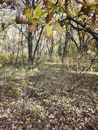 TBD 400th Street, Browerville, MN 56438
