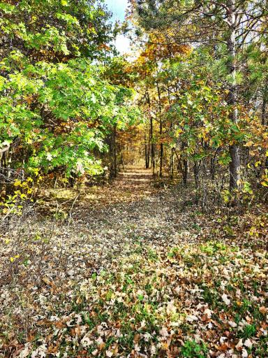 TBD 400th Street, Browerville, MN 56438