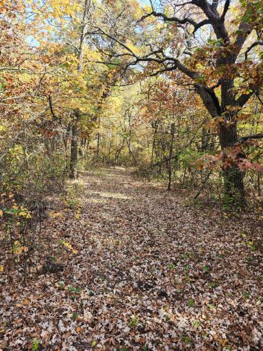 TBD 400th Street, Browerville, MN 56438
