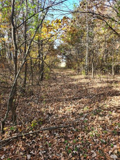 TBD 400th Street, Browerville, MN 56438