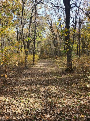 TBD 400th Street, Browerville, MN 56438