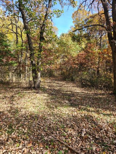 TBD 400th Street, Browerville, MN 56438