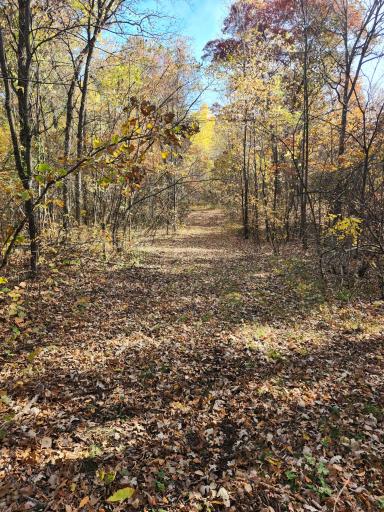 TBD 400th Street, Browerville, MN 56438