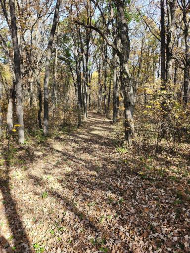 TBD 400th Street, Browerville, MN 56438