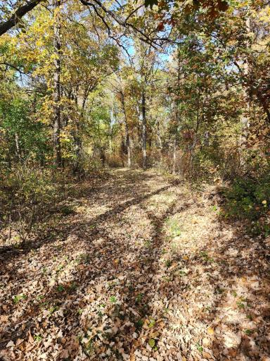 TBD 400th Street, Browerville, MN 56438