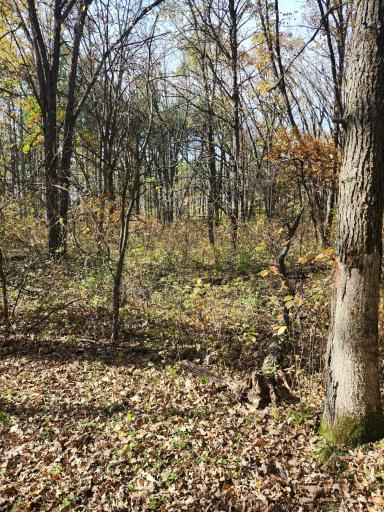 TBD 400th Street, Browerville, MN 56438