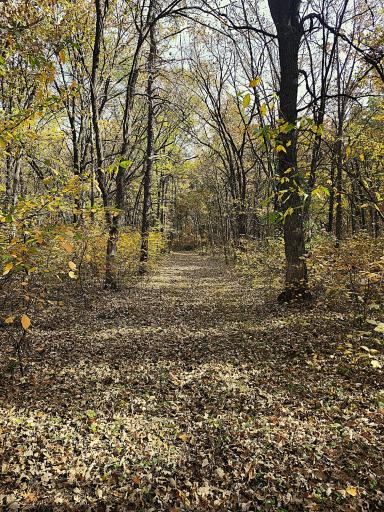TBD 400th Street, Browerville, MN 56438