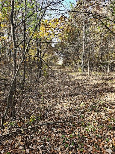 TBD 400th Street, Browerville, MN 56438