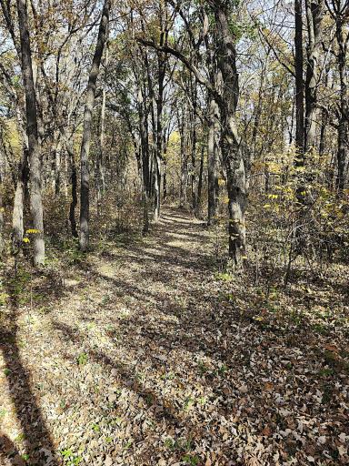 TBD 400th Street, Browerville, MN 56438