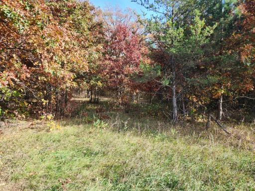 TBD 400th Street, Browerville, MN 56438
