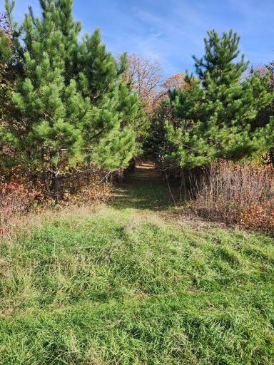 TBD 400th Street, Browerville, MN 56438