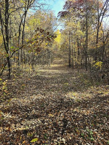 TBD 400th Street, Browerville, MN 56438