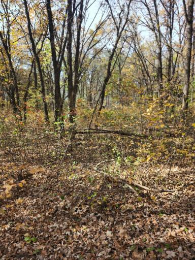TBD 400th Street, Browerville, MN 56438