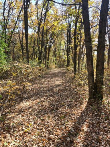 TBD 400th Street, Browerville, MN 56438