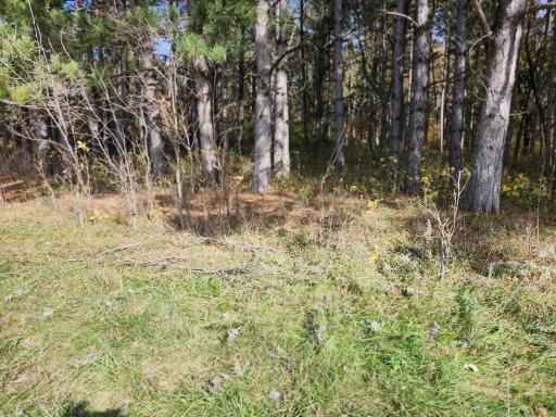 TBD 400th Street, Browerville, MN 56438