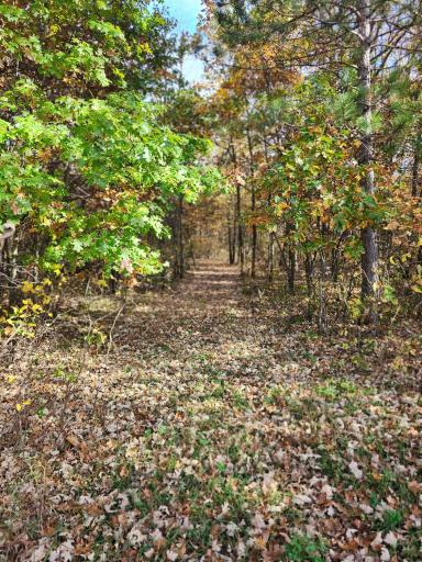 TBD 400th Street, Browerville, MN 56438