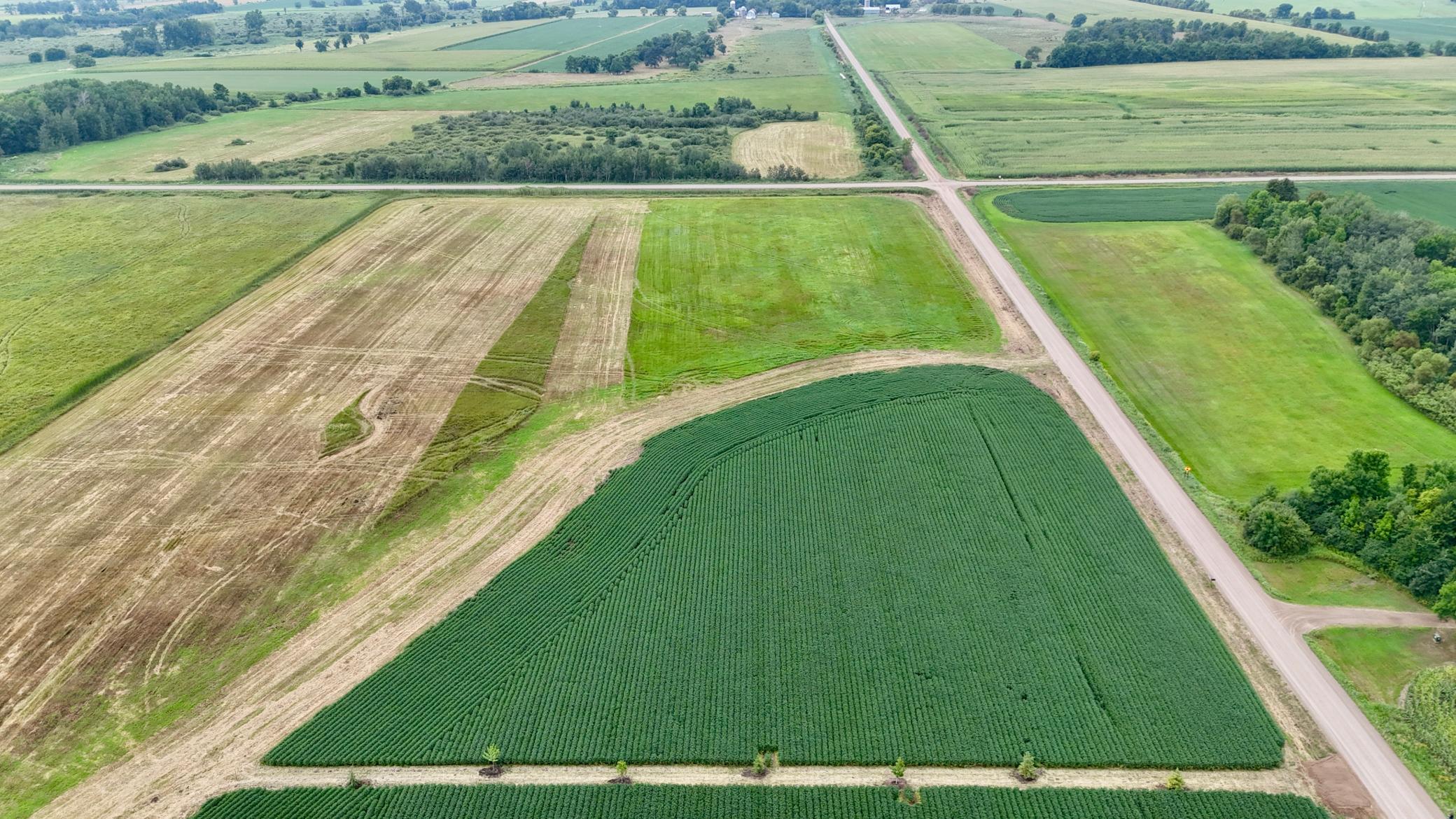 DJI_20260813132633_0003_D.JPG