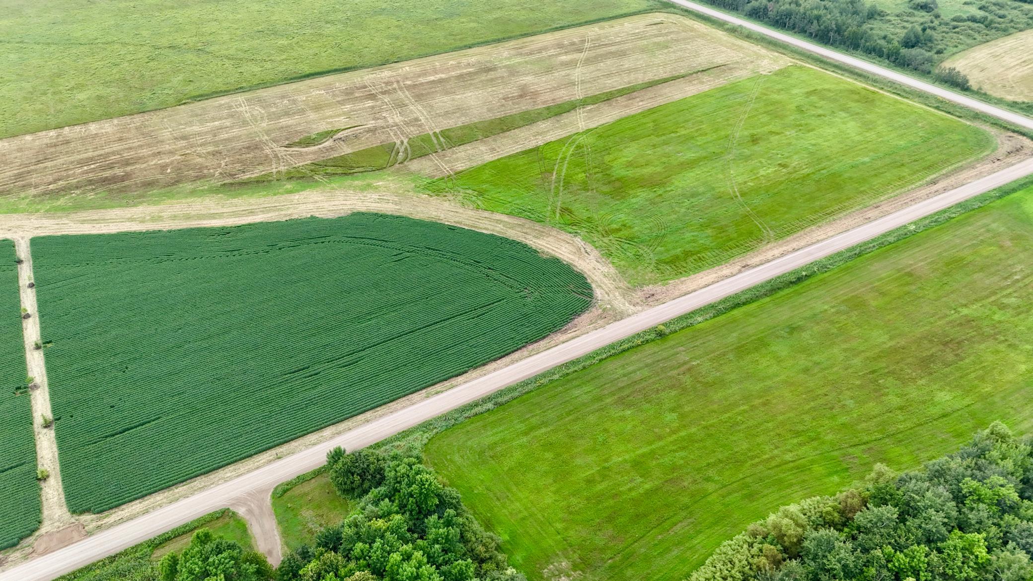 DJI_20260813133305_0018_D.JPG