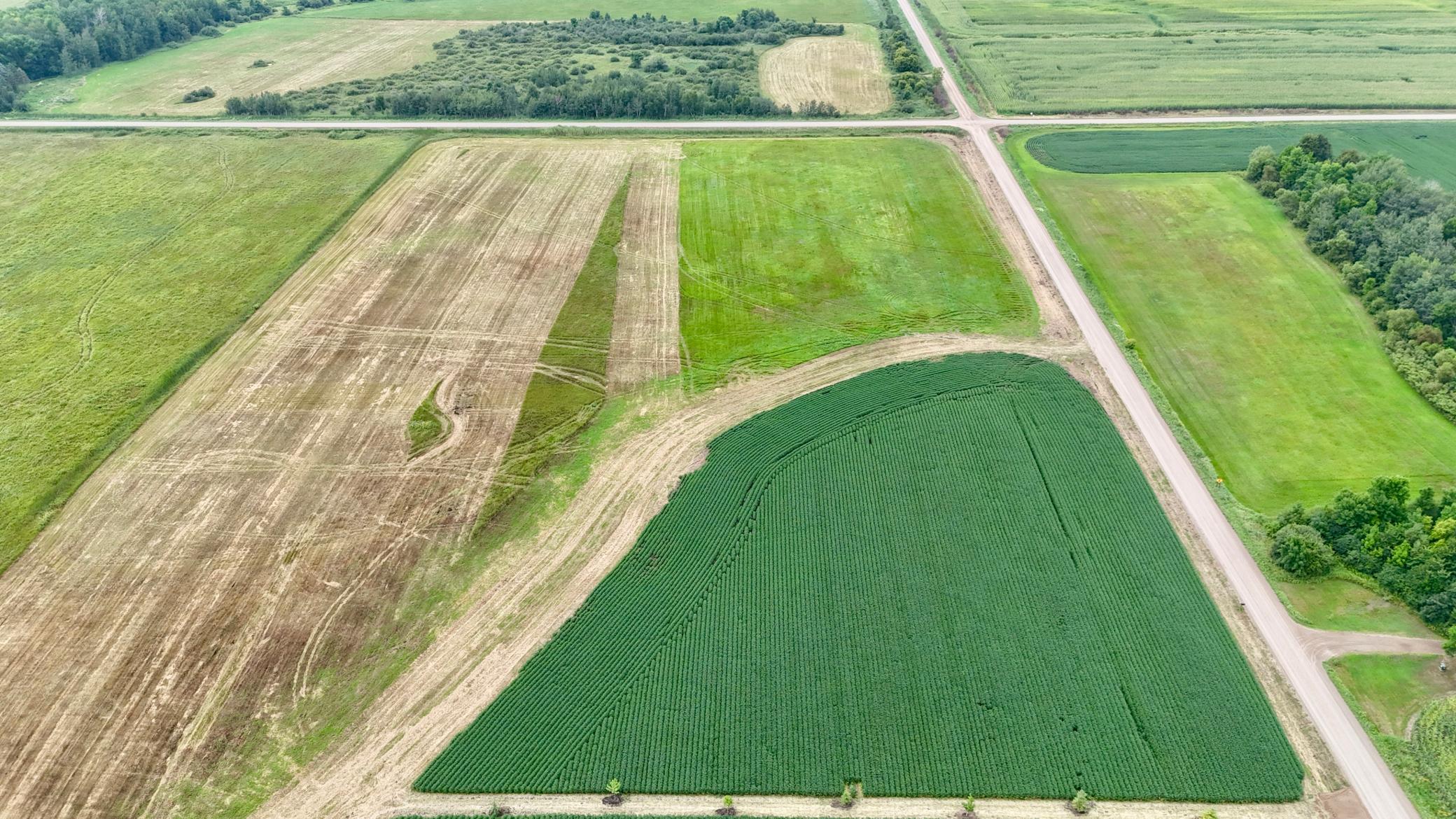 DJI_20260813132651_0004_D.JPG