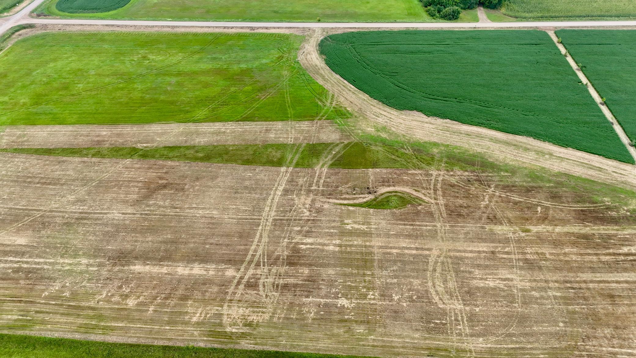 DJI_20260813132905_0008_D.JPG