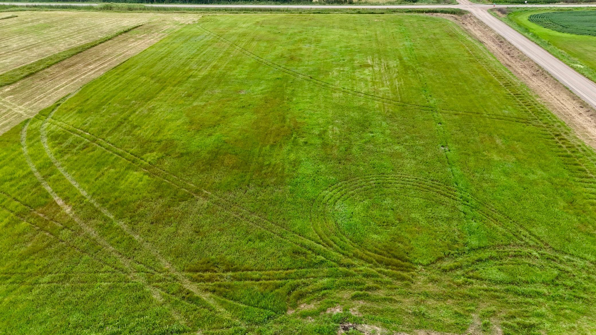 DJI_20260813134310_0039_D.JPG