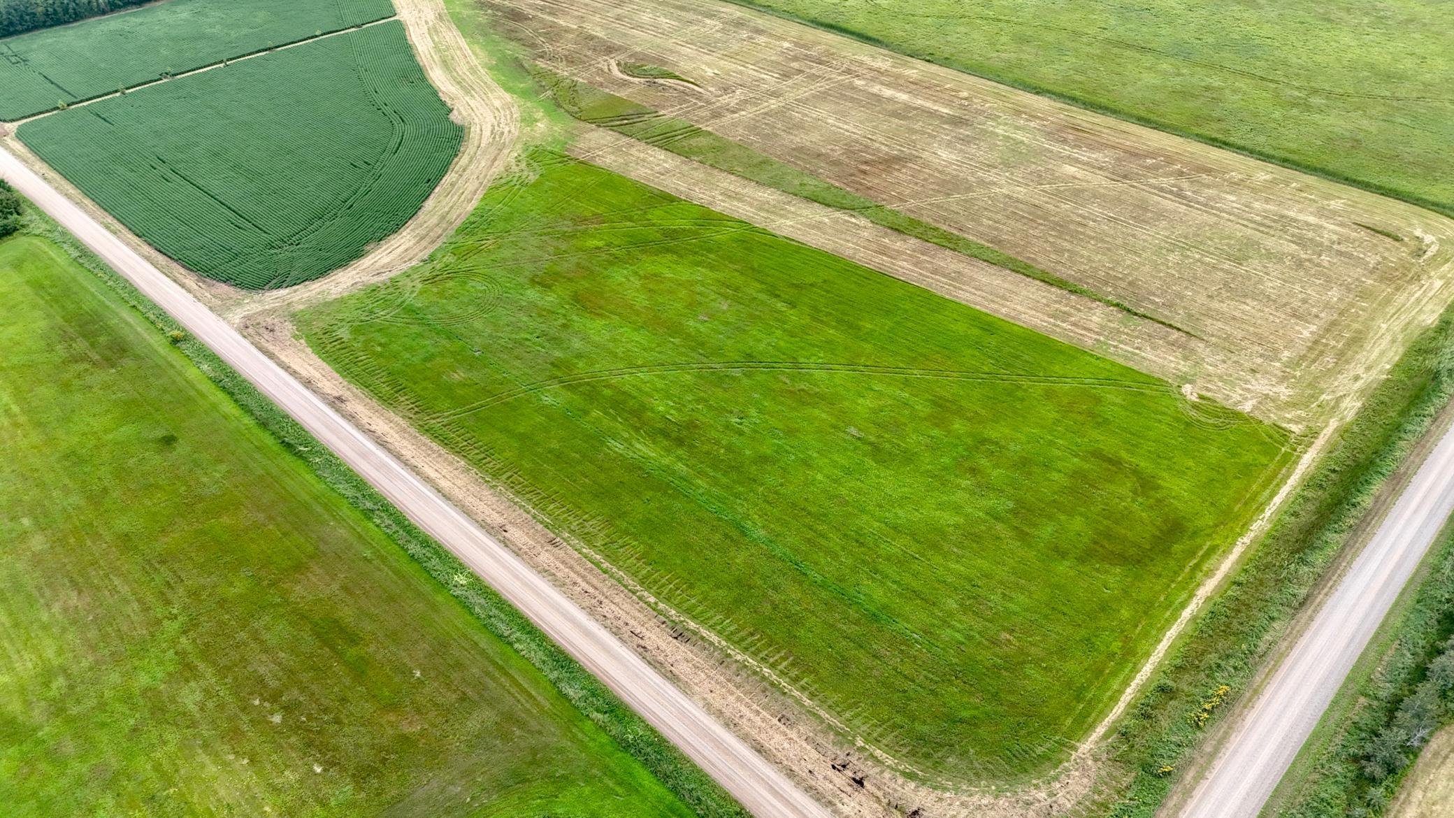 DJI_20260813133125_0014_D.JPG