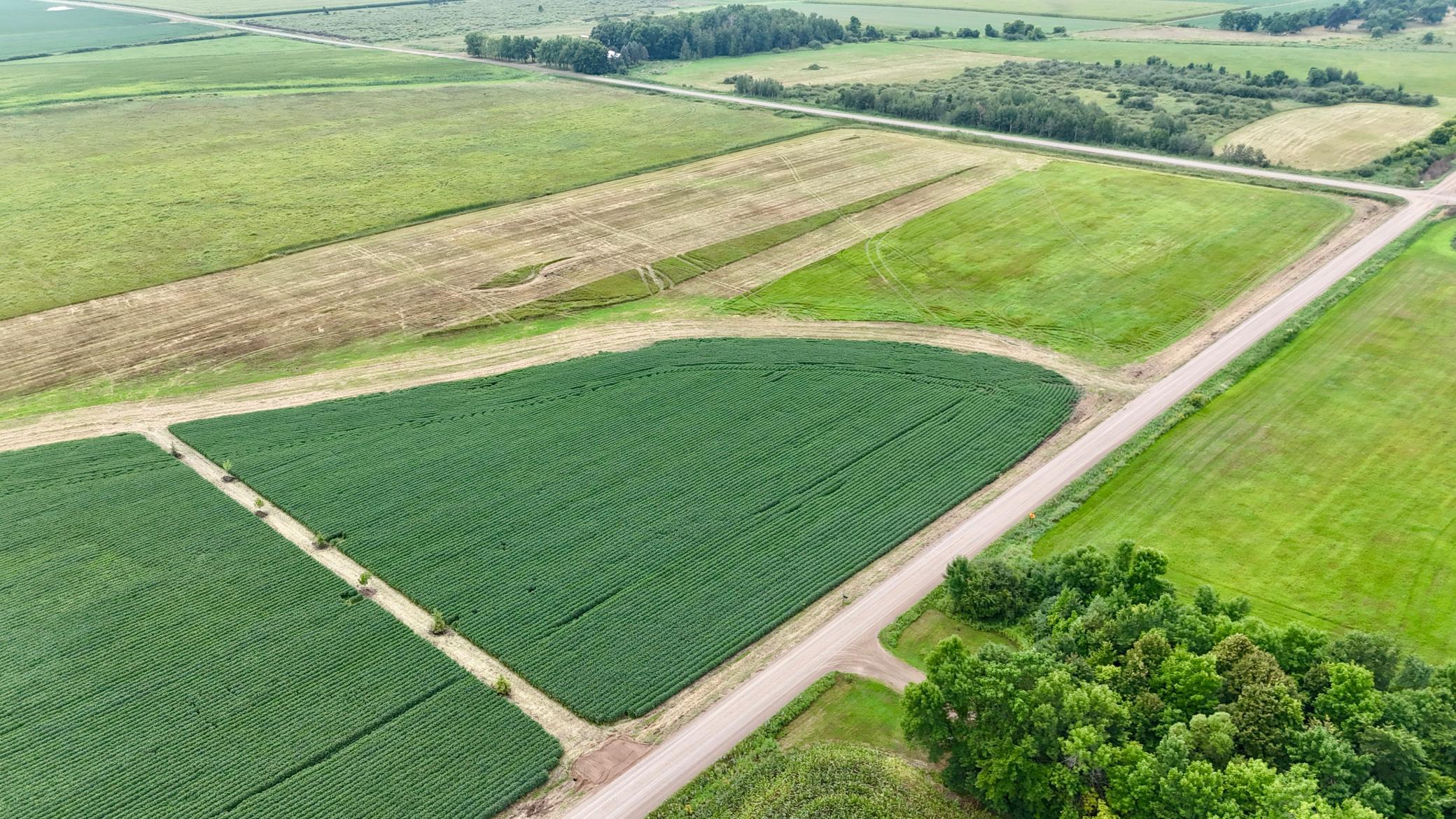 DJI_20260813132601_0002_D.JPG