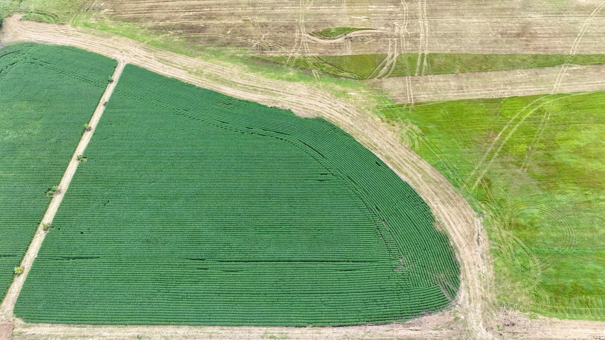 DJI_20260813133509_0021_D.JPG