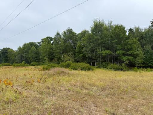 10082 Legionville Road, Brainerd, MN 56401