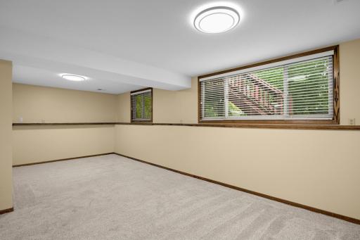 Lower level family room is spacious with so many windows!