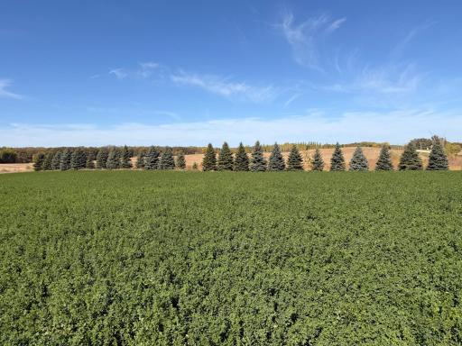 TBD CO Rd 33 NW, Evansville, MN 56326