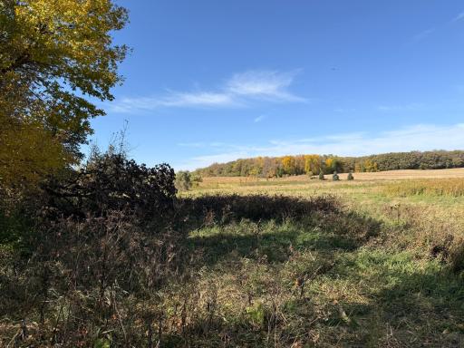TBD CO Rd 33 NW, Evansville, MN 56326