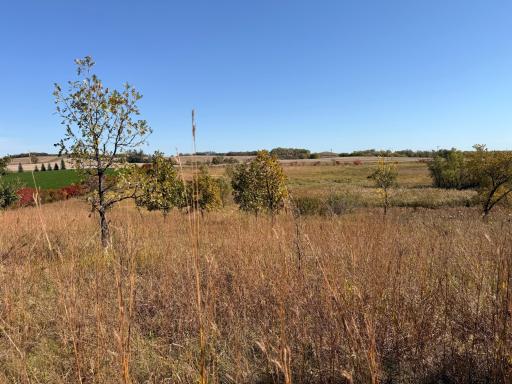 TBD CO Rd 33 NW, Evansville, MN 56326