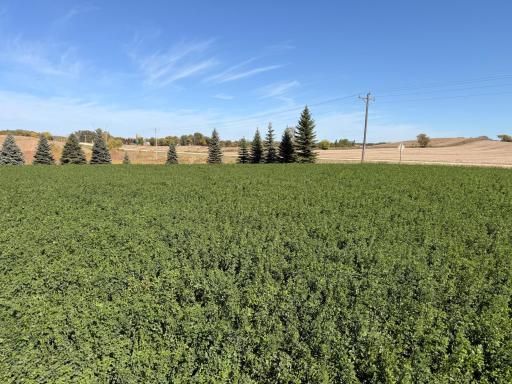 TBD CO Rd 33 NW, Evansville, MN 56326