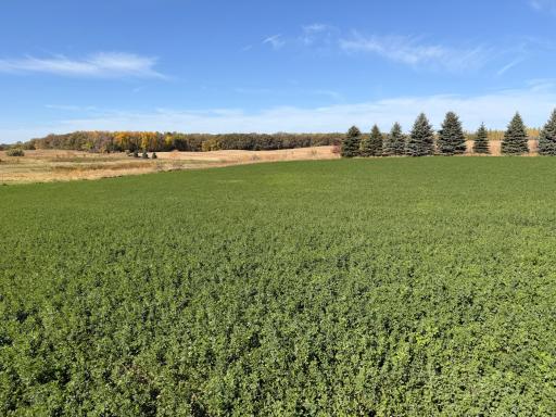 TBD CO Rd 33 NW, Evansville, MN 56326
